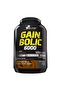 Gain Bolic 6000 3500 Gr Chocolate Flavored