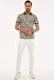 Khaki Slim Fit Polo Neck T-Shirt - 4