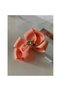 Salmon Drop Crystal Jewelled Mother Girl Baby Gift Clip Buckle