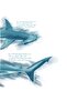Hammer Shark White Women's Casual T-Shirt - 2
