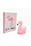 Flamingo İyi Ki Doğdun Seti - 2