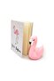 Flamingo İyi Ki Doğdun Seti - 4