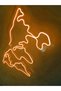 World Map Neon Sign Neon Led Decorative Wall Lighting Neon Wall Decoration 66X38Cm - 3