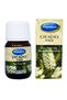 20cc Tea Tree Oil