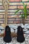 Black Red Men's Sneaker - 6