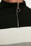 Black Slim/Narrow Cut Color Paneled Long Sleeve Prevailing Neck Zip-Up Sweatshirt Tmnaw20Sw0129 - 4