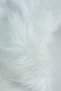 Plush Square Throw Pillow Case - White - 2