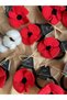 Red Poppy 3-Piece Knitted Rubber Buckle - 3