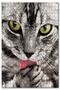 Cute Tabby Cat Licking Your Calf 255 Piece Puzzle Jigsaw Puzzle Mdf (Wooden)