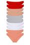 10 Pieces Lycra Women's Slip Panties