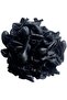 12 Inch Black Balloon 10 Pieces