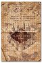 لعبة ألغاز الصور المقطوعة من Marauders Map مكونة من 255 قطعة MDF (خشب)