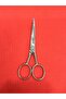 Silver Scissors - 2