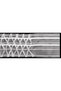 Transparent Honeycomb Batter - Extrafor Code: 888m 50 Mt - 5