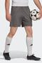 Ent22 Sho Gray Men's Shorts - 2