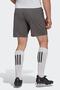 Ent22 Sho Gray Men's Shorts - 3