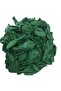 12 Inch Dark Green Balloon 10 Pieces