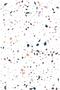 Terrazzo Stone Pattern Water Resistant Adhesive Foil 70 X 300