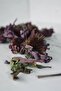 Echinacea Tea 80 Gr - 2