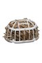 Finch Indian Nightingale Nest Set of 2 - 3
