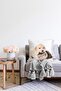 Double Sided Dog And Cat Digital Printed Modern Raschel Knitted Pillow Throw Pillow Cover - 2