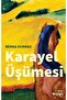 Karayel Üşümesi