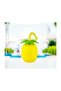 Pineapple Straw Drinker L-00758 - 2