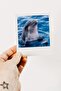 Set of 12 Animal Themed Decorative Pola Cards - 3