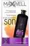 Silver Shampoo 500 Ml.