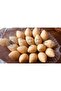 Inserted Meatball Apparatus Kibbeh Maker - 7
