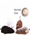 Wind-Up Cat Training Toy Furry Mouse - 3