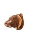 Natural Wood MDF Laser Cut Rustic Living Room Sconce Wall Decoration with Brown Bear Head Design (bulb Included) - 3