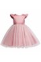 Powder Bow Detailed Pearl Skirt Baby Girl Tutu Princess Dress