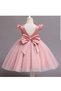 Powder Bow Detailed Pearl Skirt Baby Girl Tutu Princess Dress - 2