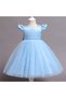Baby Girl Tutu Princess Dress