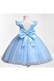 Baby Girl Tutu Princess Dress - 3