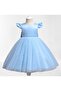 Baby Girl Tutu Princess Dress - 4