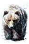 Bear Painting Wooden Poster Decorative