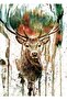 Deer Painting Wooden Poster Decorative
