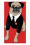Frank the Pug Painting Wooden Poster Decorative