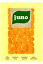Juno Painting Wooden Poster Decorative