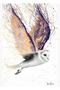 Opal Winged Owl Painting Wooden Poster Decorative