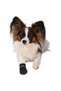 Neoprene 2 Pieces, Xxxl, Black Dog Boots - 3