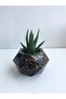 Marble Effect Concrete Office Set Pen Holder Flower Pot Memo Pad Holder Business Card Holder Cactus - 3