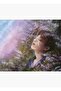 Bts Spring Jungkook لوحة خشبية ملصق ديكور Code2276