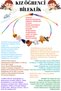 Certified Girl's Student Bracelet Amber Quartz Calcite Howlite Lapis Agate Hematite Natural Stone Bracelet