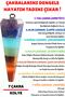 7 Chakra Natural Stone Pandule Cut Women's Necklace - Certified
