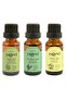 100% Pure Thyme Oil 20ml + Lemon Oil 20ml + Tea Tree Oil 20ml 3-Piece Essential Oil Set, Large Size