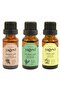 100% Pure Lemon Oil 20ml + Tea Tree Oil 20ml + Clove Oil 20ml 3-Piece Essential Oil Set, Large Size