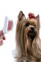 Stainless Wire Cat Dog Hair Comb Brush - 3